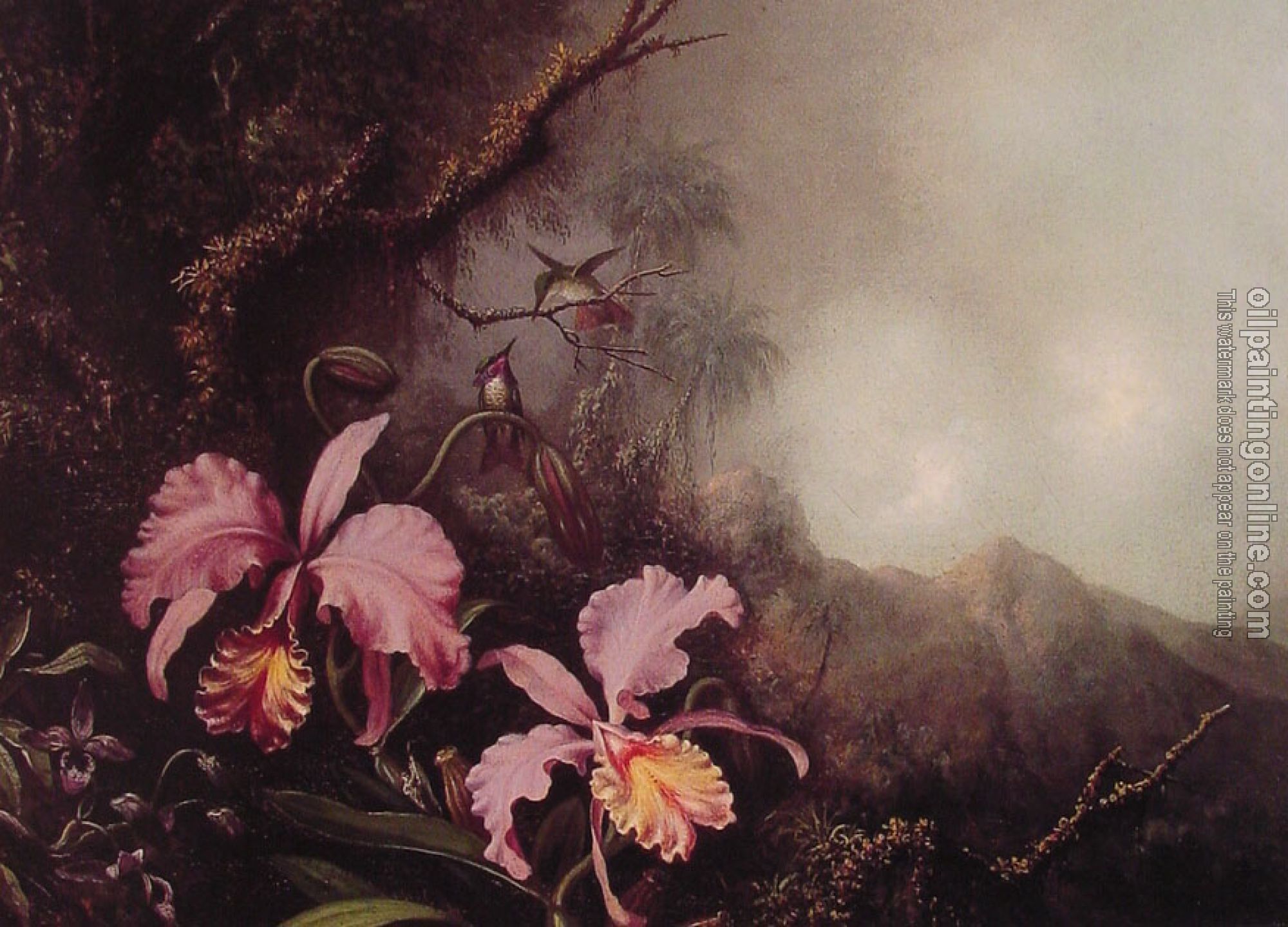 Heade, Martin Johnson - Two Orchids in a mountain Landscape